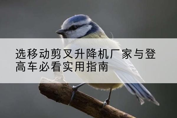 绿春电动升降机厂家-选移动剪叉升降机厂家与登高车必看实用指南