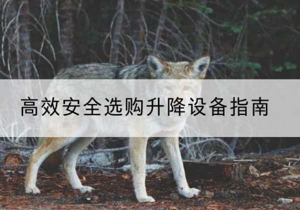 绿春升降货梯厂家推荐-*安全选购升降设备指南