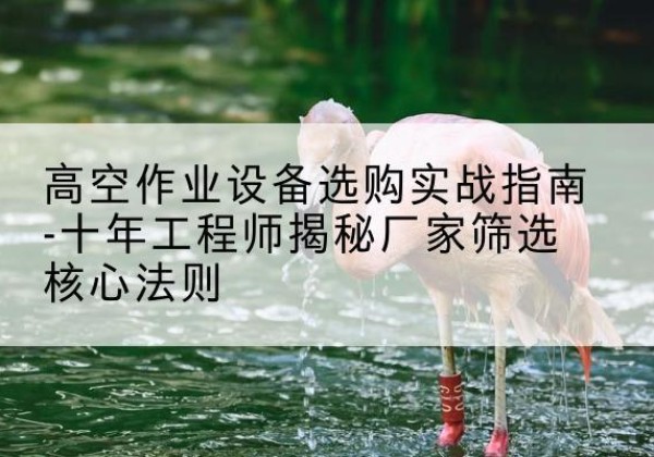 绿春剪叉式升降机厂家-高空作业设备选购实战指南-十年工程师揭秘厂家筛选核心法则